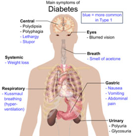 Primary Care Doctor Near Me Treating Diabetes