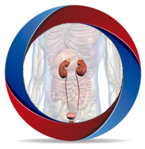 Endocrinology